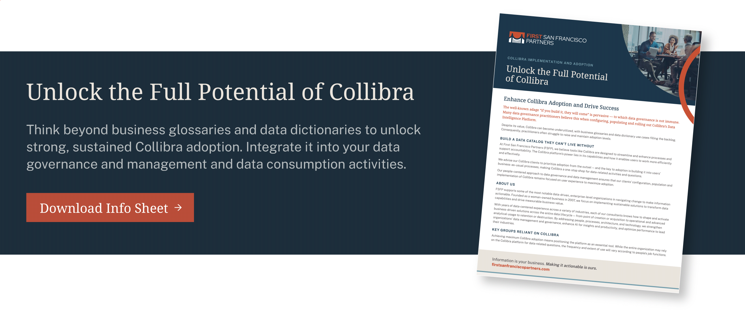 FSFP Collibra Infosheet