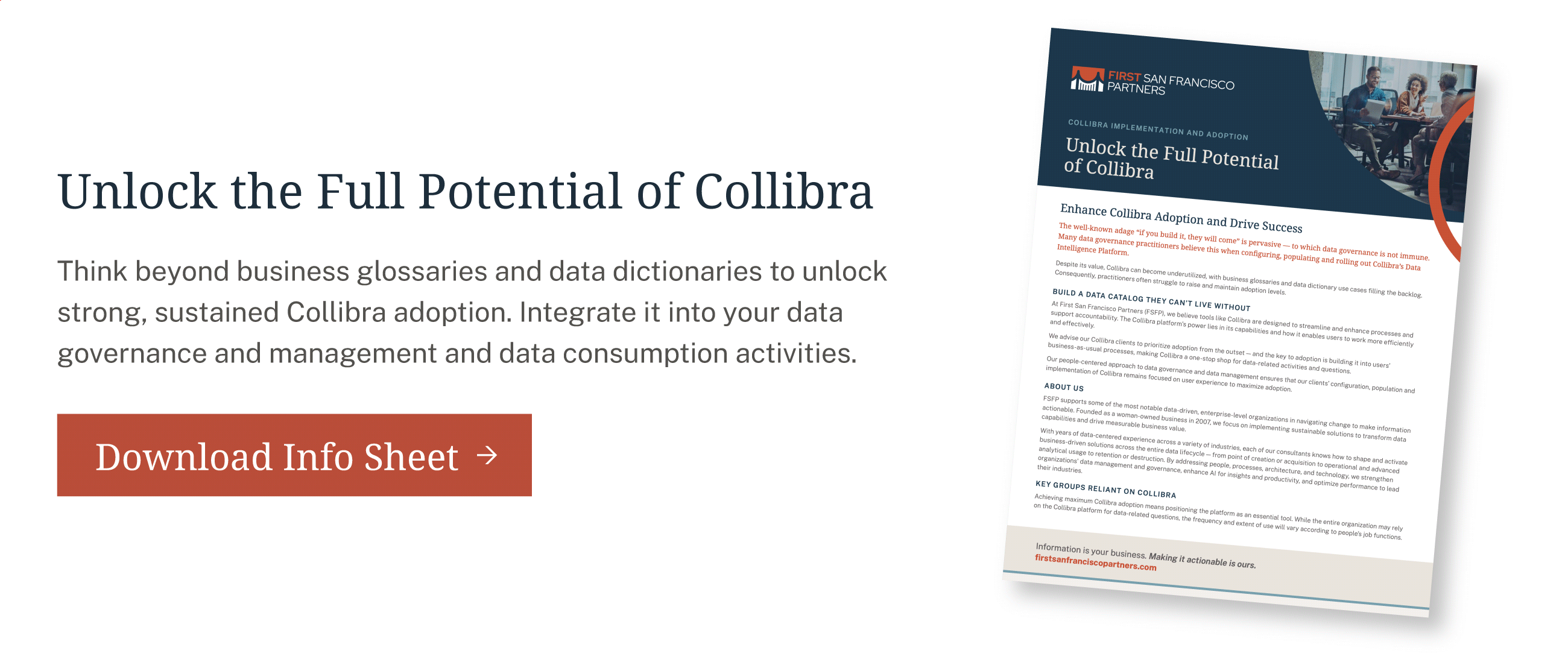 FSFP Collibra Infosheet